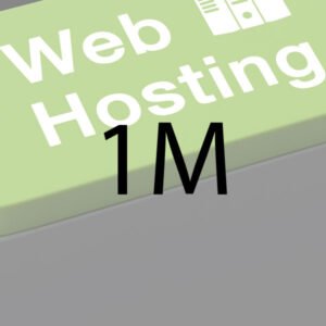 Website Hosting/ Month